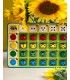 Сортер дерев'яний "Сонечко: кольори, рахунок і напрямки" Розвиваюча гра для дітей